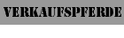Jungpferde