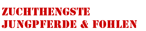 hengste