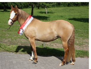 Eldorada mit 3 Jahren