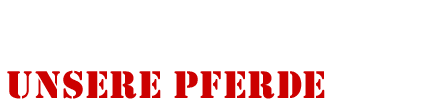Unsere Pferde