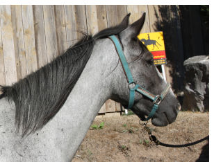 Hilaria mit 4 Jahren