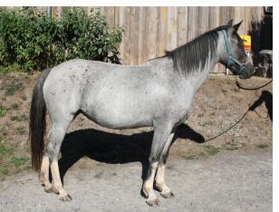 Hilaria mit 4 Jahren